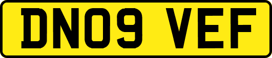 DN09VEF