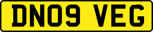 DN09VEG