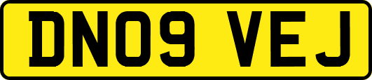 DN09VEJ