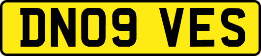 DN09VES