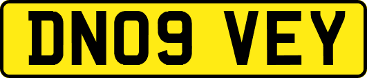 DN09VEY