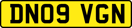 DN09VGN