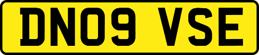 DN09VSE