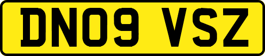 DN09VSZ