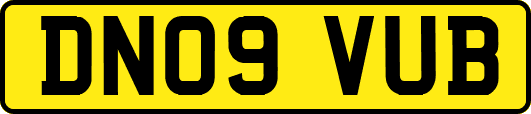 DN09VUB