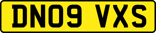 DN09VXS