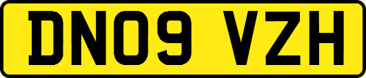 DN09VZH
