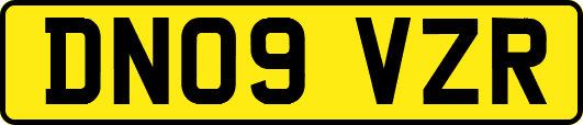 DN09VZR