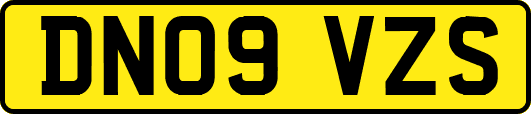 DN09VZS