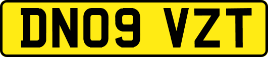 DN09VZT
