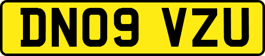 DN09VZU
