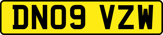 DN09VZW