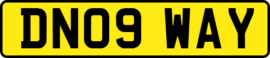 DN09WAY
