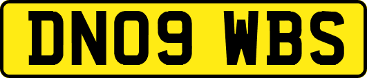 DN09WBS