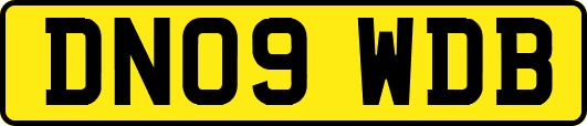 DN09WDB