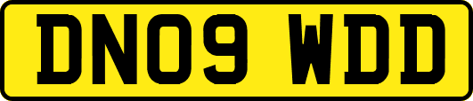 DN09WDD