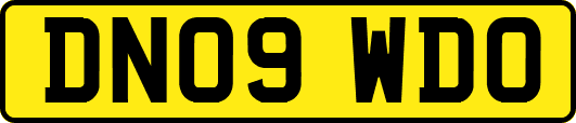 DN09WDO