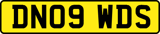 DN09WDS