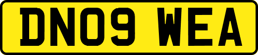 DN09WEA