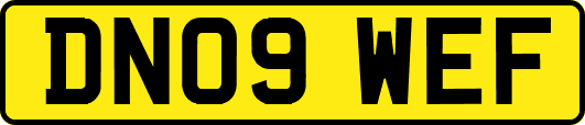 DN09WEF