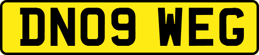 DN09WEG