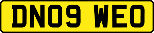 DN09WEO