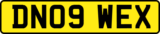 DN09WEX