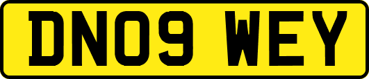DN09WEY