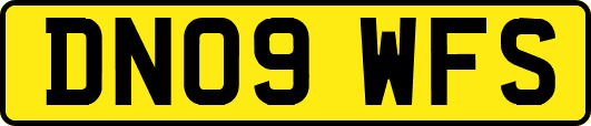 DN09WFS