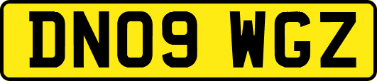 DN09WGZ