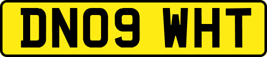 DN09WHT