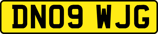 DN09WJG