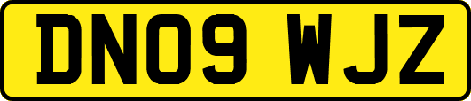 DN09WJZ