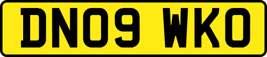 DN09WKO