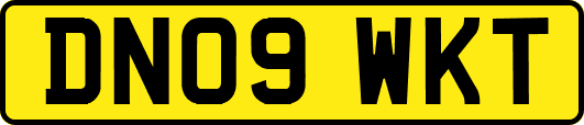 DN09WKT