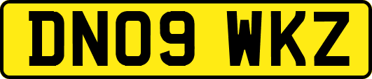 DN09WKZ