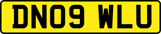 DN09WLU