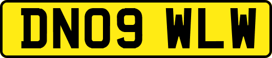 DN09WLW