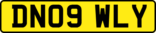 DN09WLY