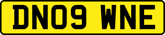 DN09WNE