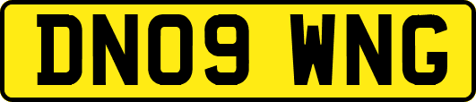 DN09WNG