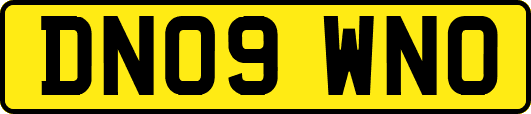 DN09WNO