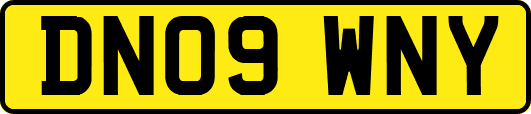 DN09WNY