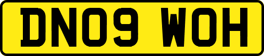 DN09WOH