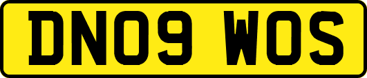 DN09WOS