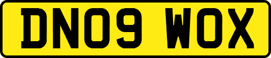 DN09WOX