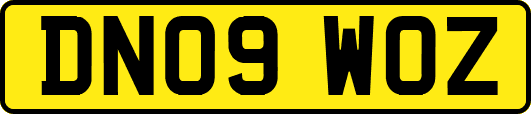 DN09WOZ