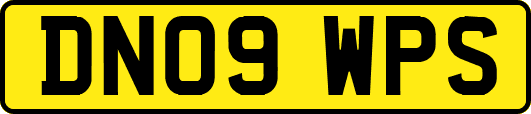 DN09WPS