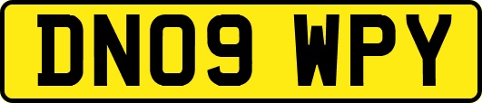 DN09WPY