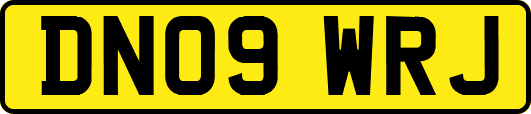 DN09WRJ